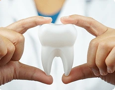 tooth